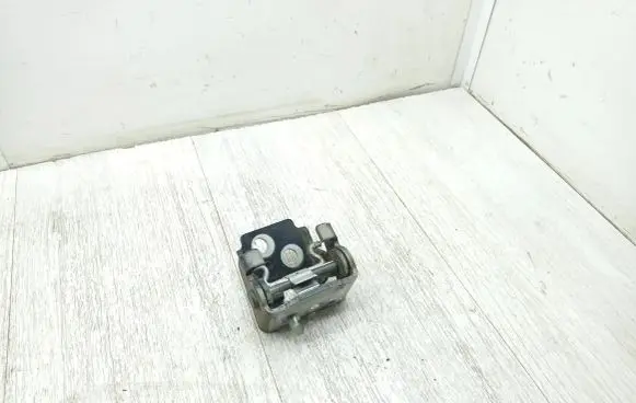 Citroen C3 Picasso Rear door lower hinge