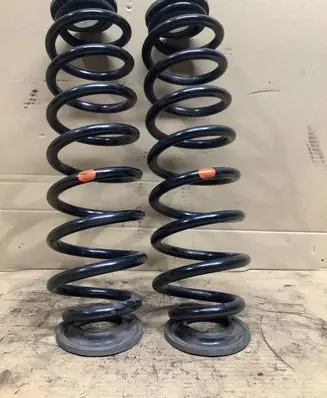 Rear coil spring