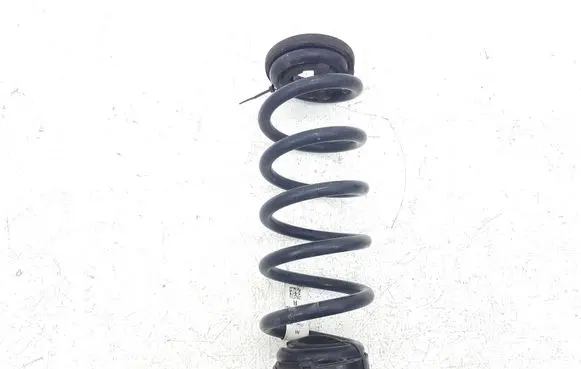 Ford Escape IV Rear coil spring LX615560 LX615560NND L22272019