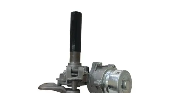 Electric power steering pump
