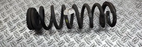 Rear coil spring