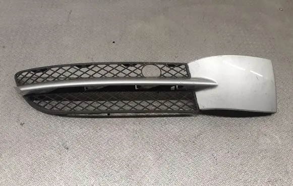 Volkswagen Phaeton Front bumper lower grill 3D0853666F