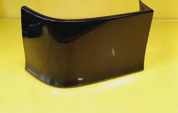 Rear/tail light trim molding