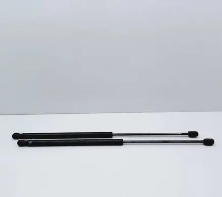 Tailgate/trunk strut/damper