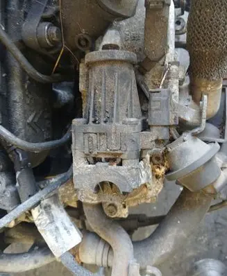 Ford Grand C-MAX EGR valve 70215615