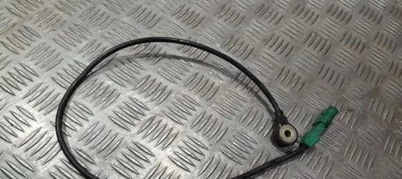 Audi A4 S4 B6 8E 8H Detonation knock sensor 07d905377