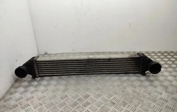Mercedes-Benz A W169 Intercooler radiator A1695000000