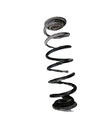 Volkswagen Golf Plus Rear coil spring NOCODE