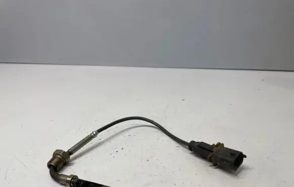 Opel Insignia A Exhaust gas temperature sensor 55566185
