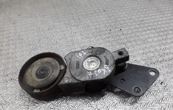 Skoda Fabia Mk1 (6Y) Generator/alternator belt tensioner 038903315AB