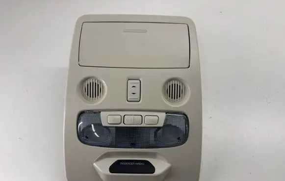 Ford Ecosport Front seat light GN15A519A58D 8A6Z13776AJ