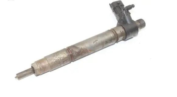 Land Rover Range Rover Evoque L538 Fuel injector 9687454480 0445116043