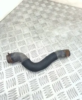 Citroen Berlingo Engine coolant pipe/hose