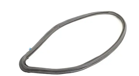 Dacia Sandero Rubber seal rear door A1666808900