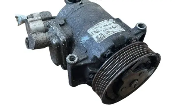 Skoda Octavia Mk2 (1Z) Air conditioning (A/C) compressor (pump) 5n0820803a