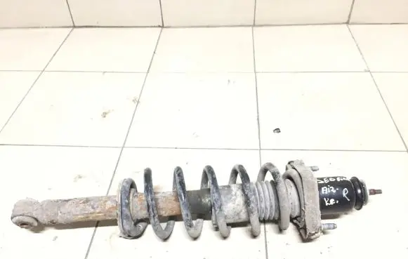 Chrysler Sebring (JS) Rear shock absorber with coil spring 