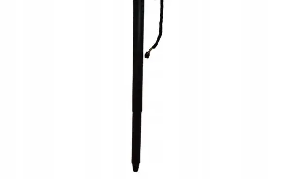 Volkswagen Arteon Tailgate/trunk strut/damper 3G7827851A