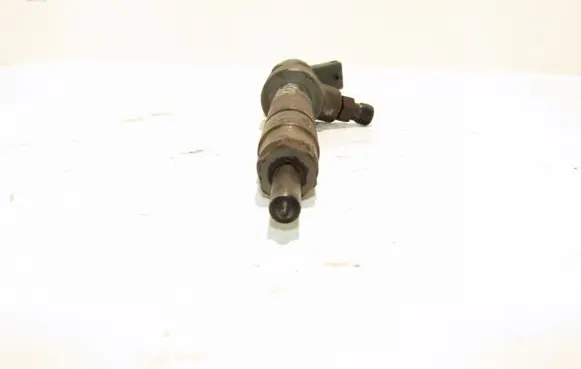 Fiat Punto (188) Fuel injector 0445110019