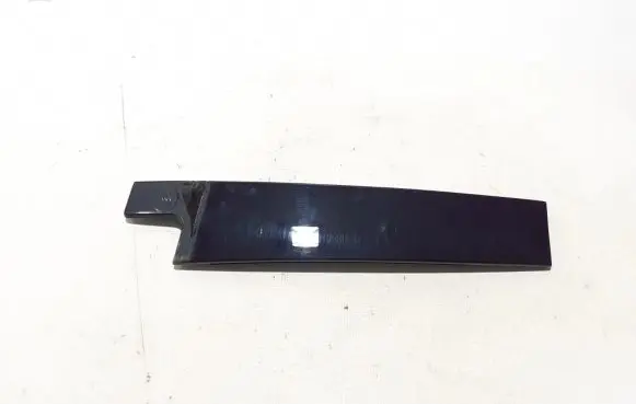 Renault Austral Rear door trim (molding) 822831252R