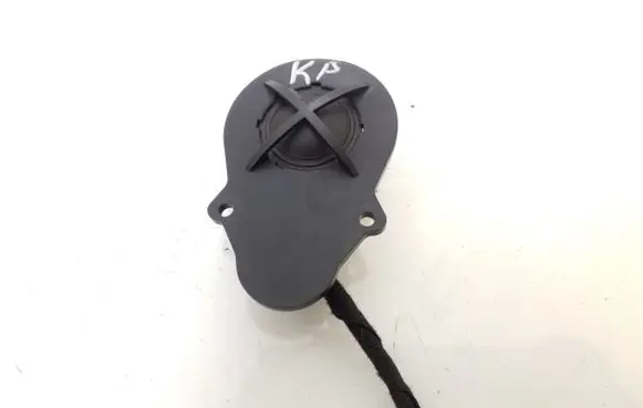 Front door high frequency speaker