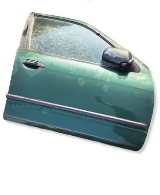 Nissan Primera Front door H01002J030