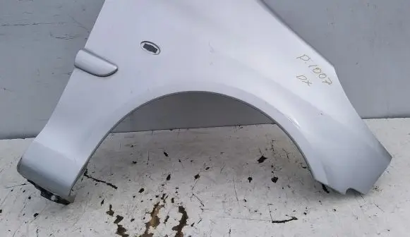 Peugeot 1007 Fender