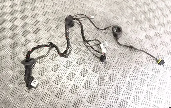 KIA Ceed Rear door wiring loom 91660 070322 1H030