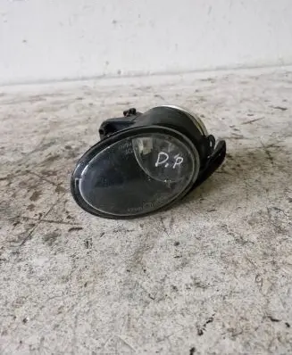 Volkswagen PASSAT B6 Front fog light