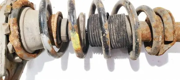 Nissan Primera Rear coil spring