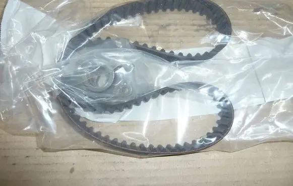 Dacia 1200 1210 Timing belt/chain tensioner J1116010