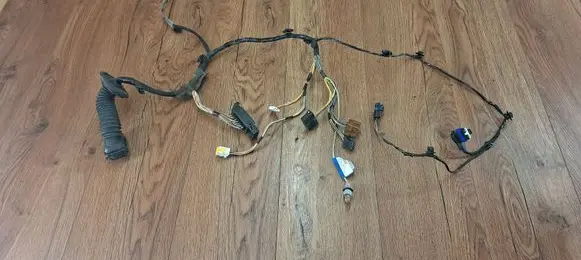 Front door wiring loom