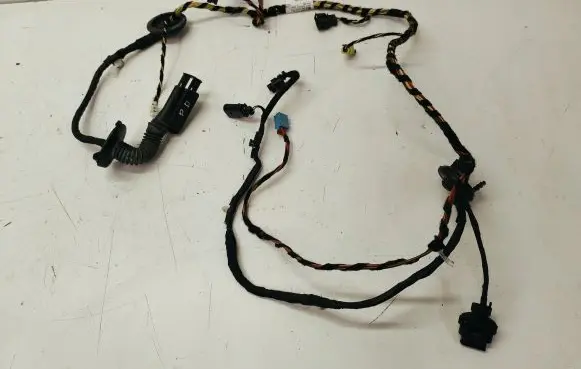 Front door wiring loom