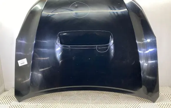 Engine bonnet/hood