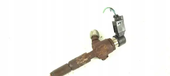Ford Transit - Tourneo Connect Fuel injector 7T1Q-9F593-AB
