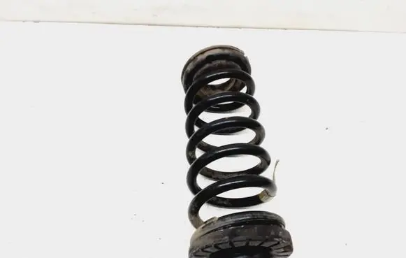 Ford Fusion II Rear coil spring DG9C5560FNE