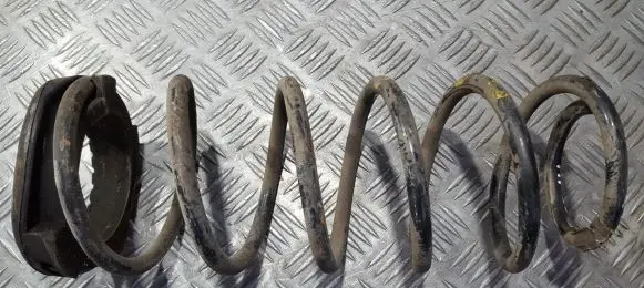 Hyundai i20 (PB PBT) Rear coil spring