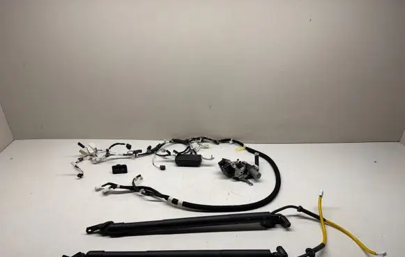 Toyota Corolla E210 E21 Tailgate hydraulic set 6892012020 8922212020 6891012020