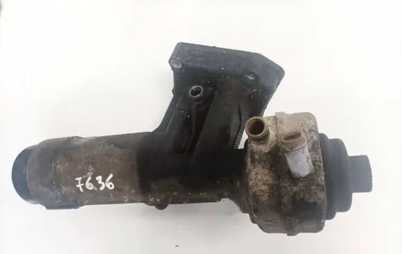 Volkswagen Golf IV Oil filter cover 038115466 038115389b