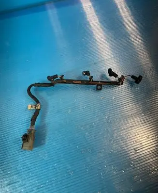 Ford Fiesta Fuel injector wires 