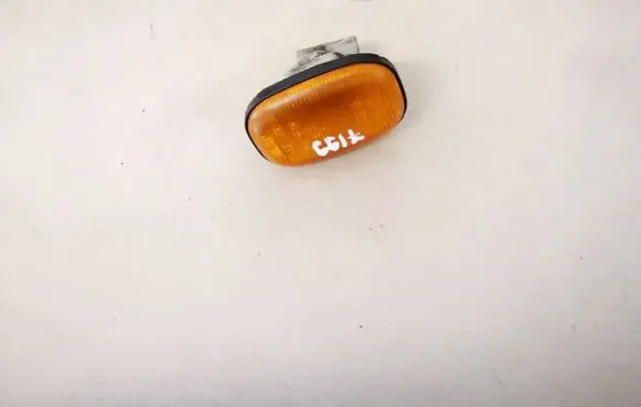Front fender indicator light