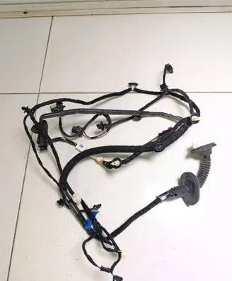 Rear door wiring loom