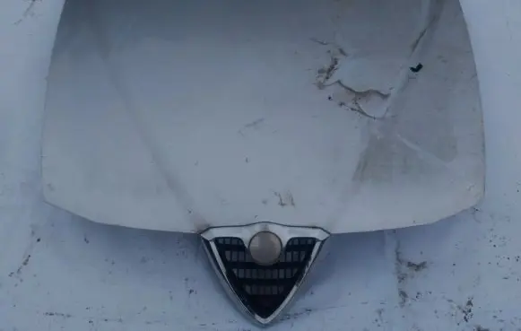 Engine bonnet/hood