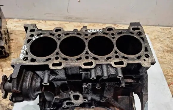 Renault Trafic III (X82) Engine block M9R650