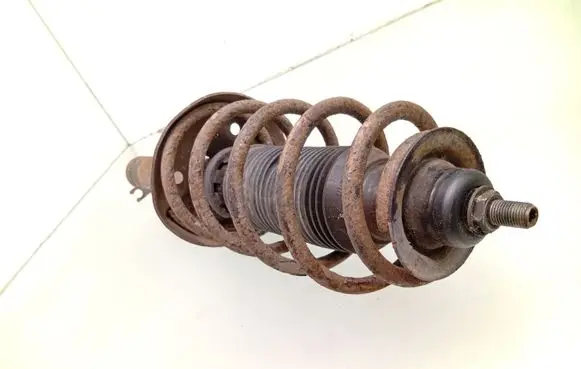Front shock absorber with coil spring