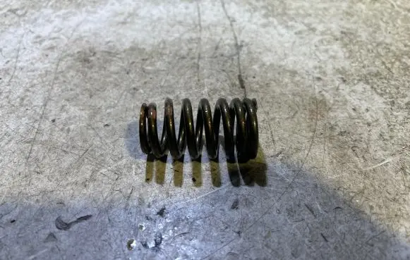 Dodge Challenger Valve spring 