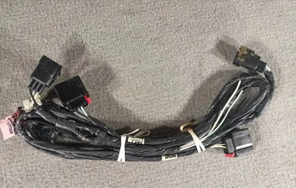 Chrysler Town & Country V Other wiring loom 04868749AB