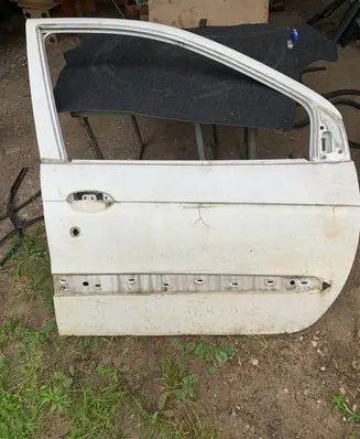 Renault Scenic I Front door