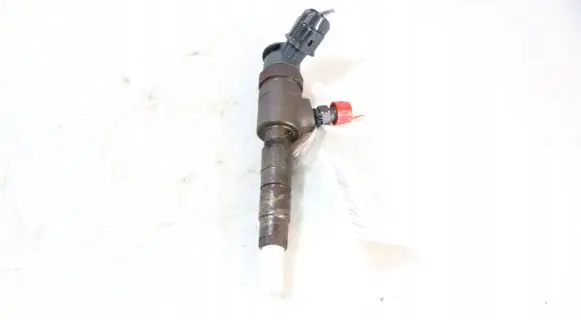 Peugeot Partner Fuel injector 0445110739