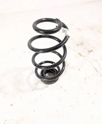 Rear coil spring