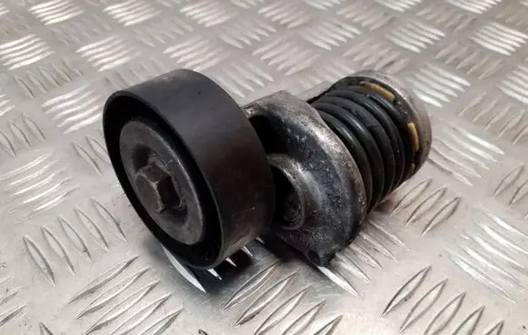 Skoda Yeti (5L) Generator/alternator belt tensioner 038903315AH